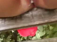 Conocí a una chica v ...