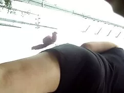 El jefe lamió los de ...